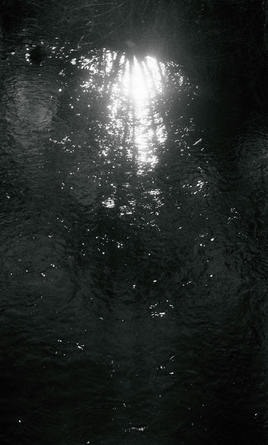 photo1